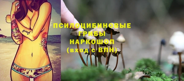 дурь Алзамай