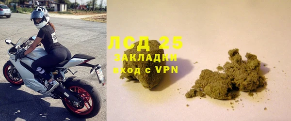 ГАЛЛЮЦИНОГЕННЫЕ ГРИБЫ Абаза