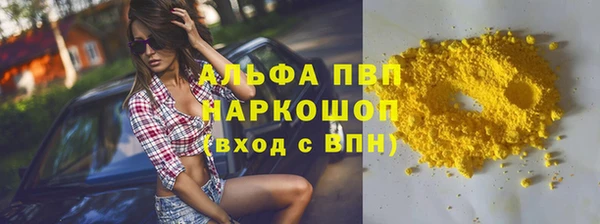 сатива Новокубанск