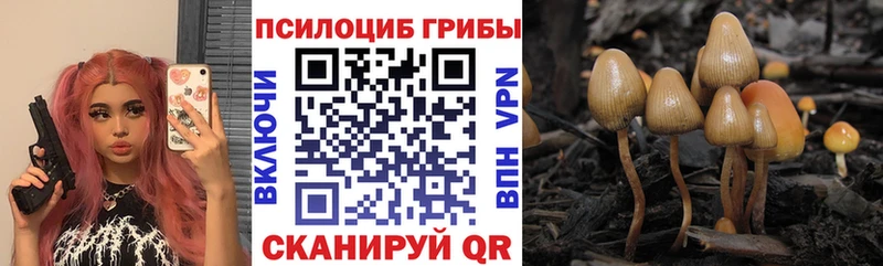 ссылка на мегу ONION Новомичуринск Галлюциногенные грибы Magic Shrooms